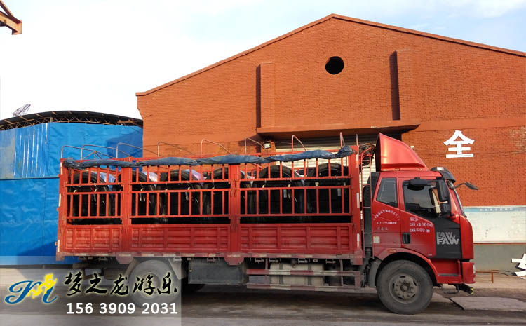 電瓶碰碰車(chē)發(fā)貨